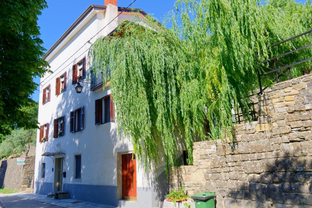 a white building with a weeping willow hanging over it at Apartments Smile in Grožnjan