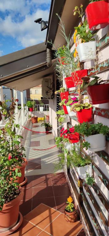 Lille France Apartments - 