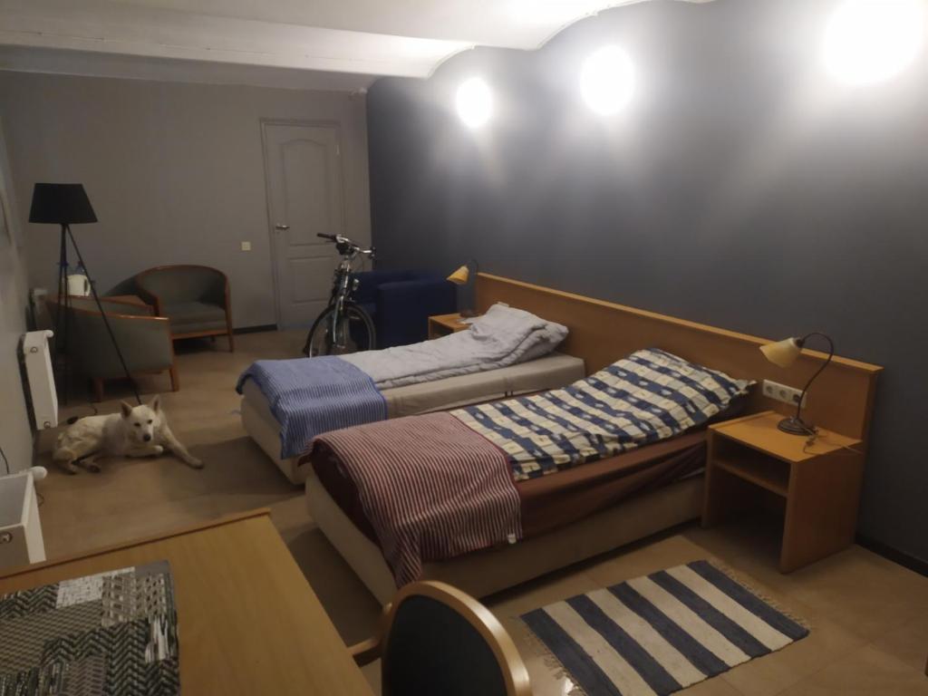 a bedroom with two beds and a dog laying on the floor at Second house from the river in Riga