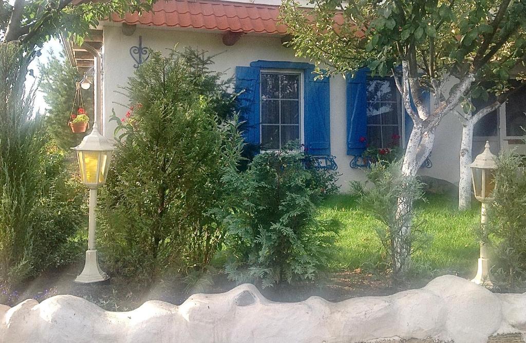 Flower Street - Apartamento De Estudio