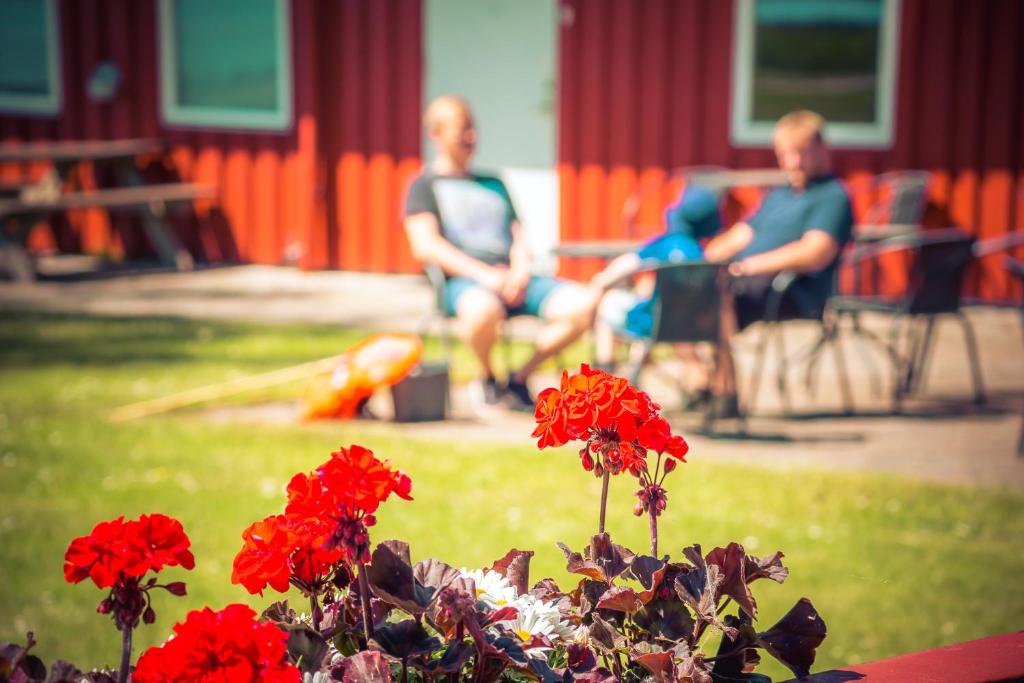 Hosté ubytování Danhostel Skanderborg