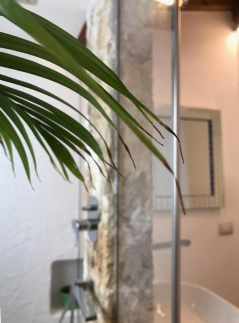 Koupelna v ubytování B&B Casa Dorsi