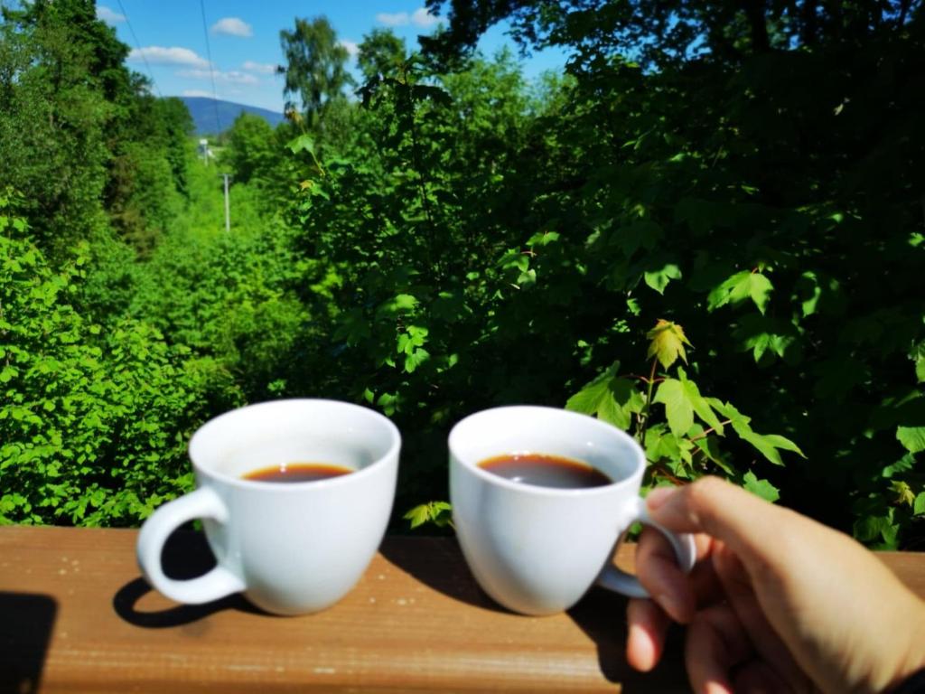 Príroda v okolí apartmánu