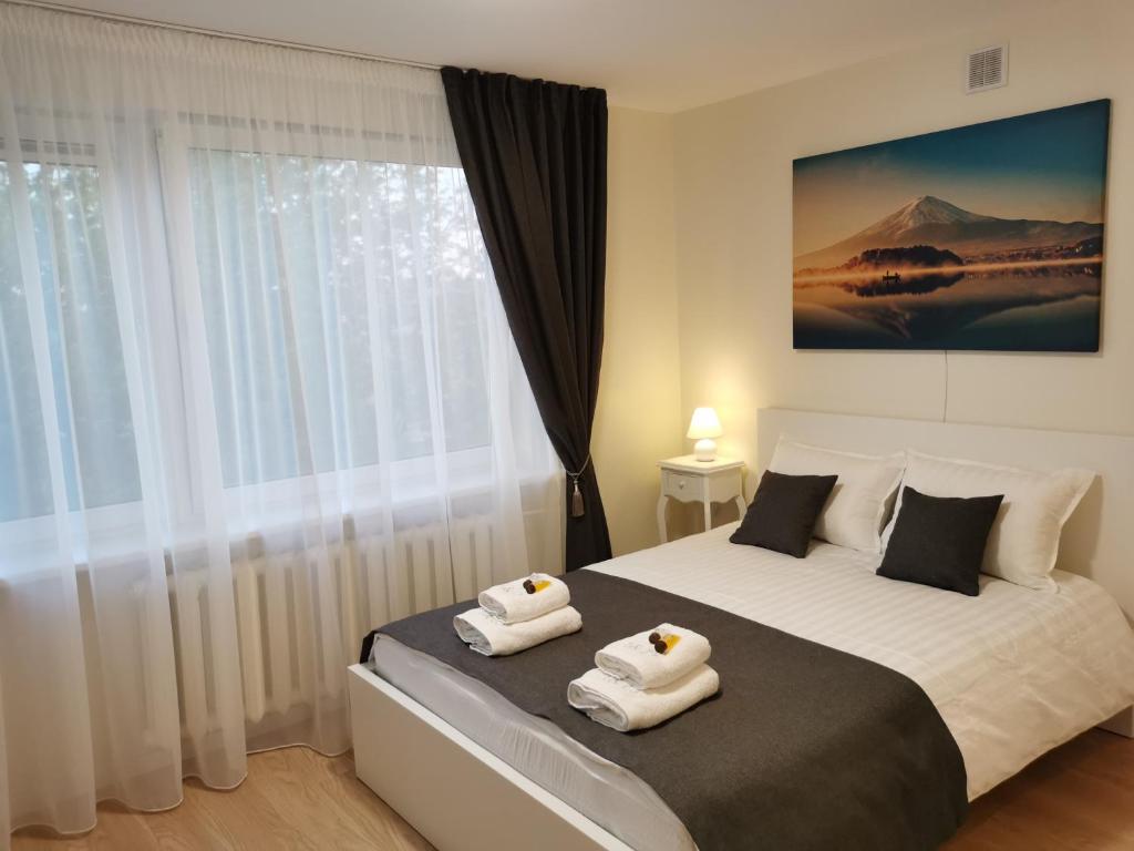 Klaipeda Center Studio - Appartamento Con Una Camera Da Letto