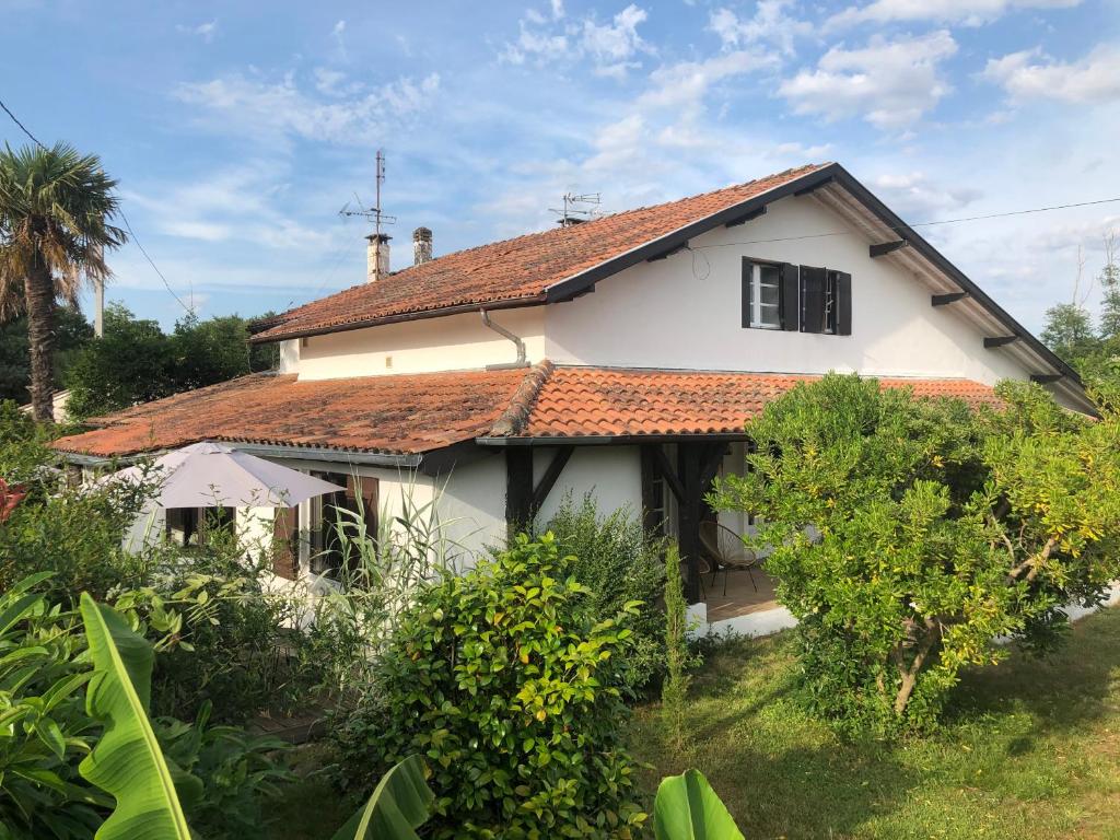 Zahrada ubytování Villa Orcas