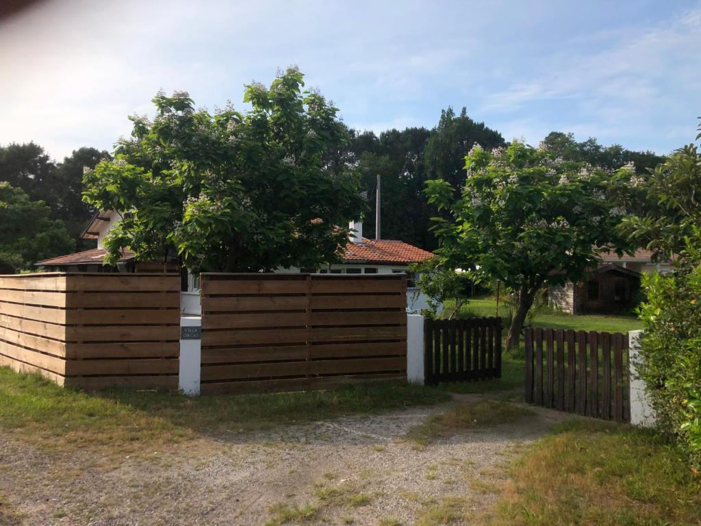 Zahrada ubytování Villa Orcas