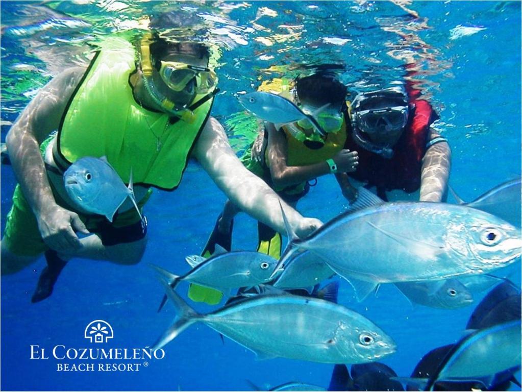 14 Hoteles de lujo en Cozumel, mejor valorados 255909907