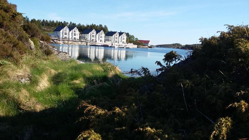 a row of houses on a river with a bridge at Atlanterhavsveien Rorbuer in Averoy