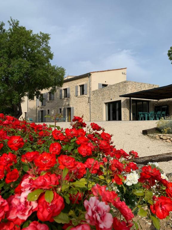 una pila de rosas rojas delante de un edificio en Chut ! c'est ici, en Venelles