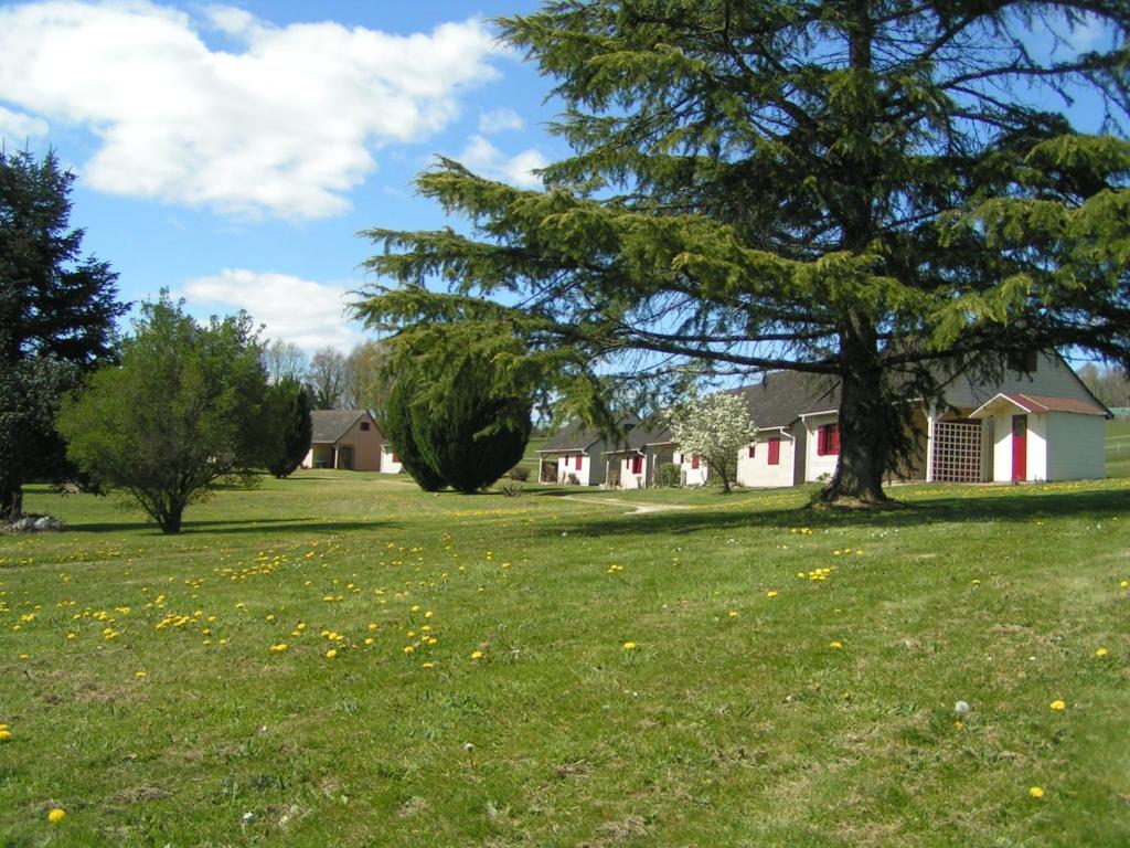a green field with a tree and houses at Domaine de Vaulatour. in Payzac