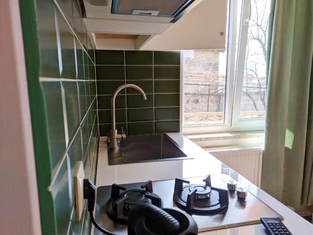 Il comprend une cuisine équipée d'une cuisinière et d'un évier. dans l'établissement Guest House Bolnisi - Green Apartment, à Bolnisi
