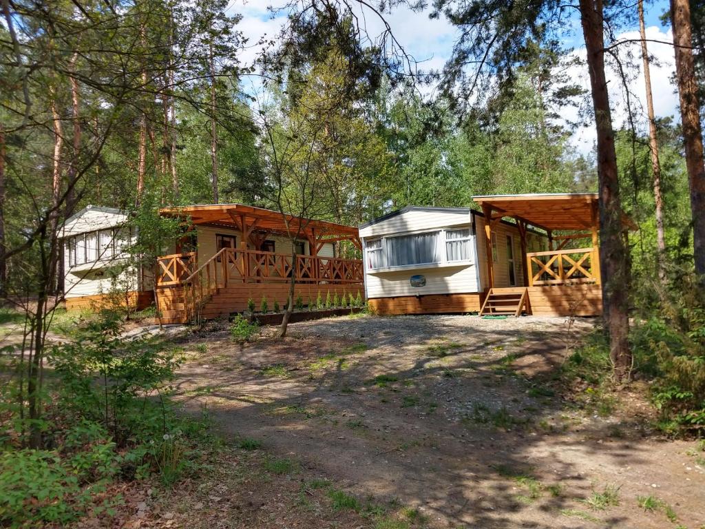 a couple of cottages in the woods at Domki nad Wartą in Wierzchlas