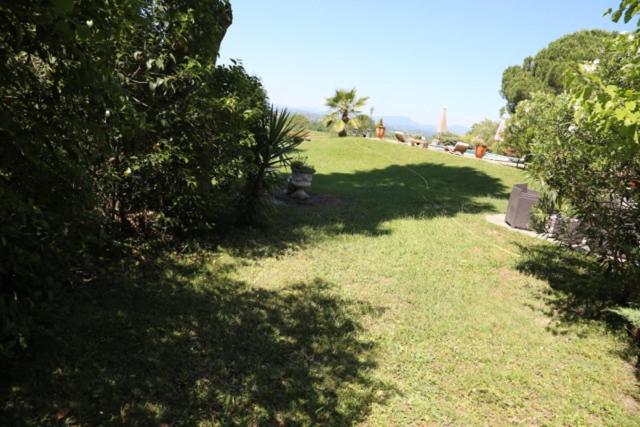 un champ herbeux avec l'ombre des arbres dessus dans l'établissement A L'orée Des Cévennes, à Aigremont