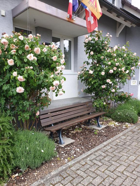Zahrada ubytování Pension Boitz