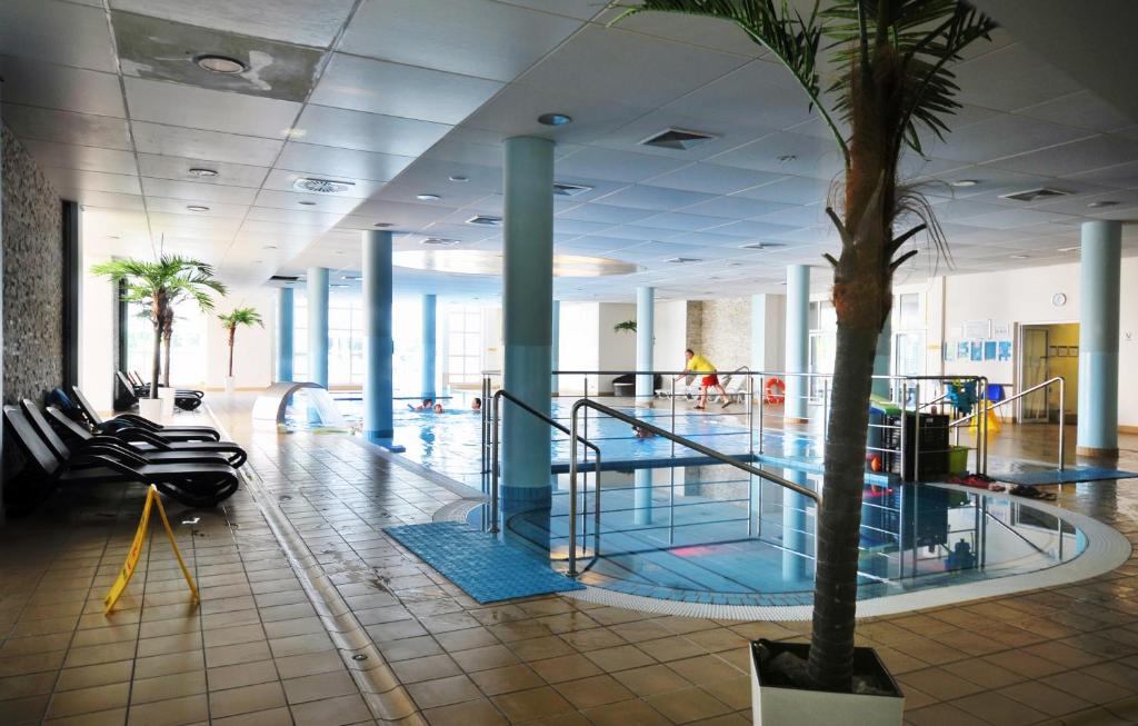 duży hol z basenem i palmą w obiekcie Apartament prywatny 242 z aneksem kuchennym w Hotelu Diva w Kołobrzegu