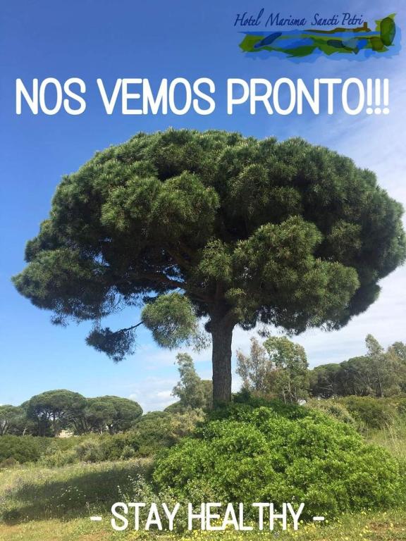 a tree on a hill with the words no vocs promotionstay healthy at Hotel Marisma Sancti Petri in Chiclana de la Frontera