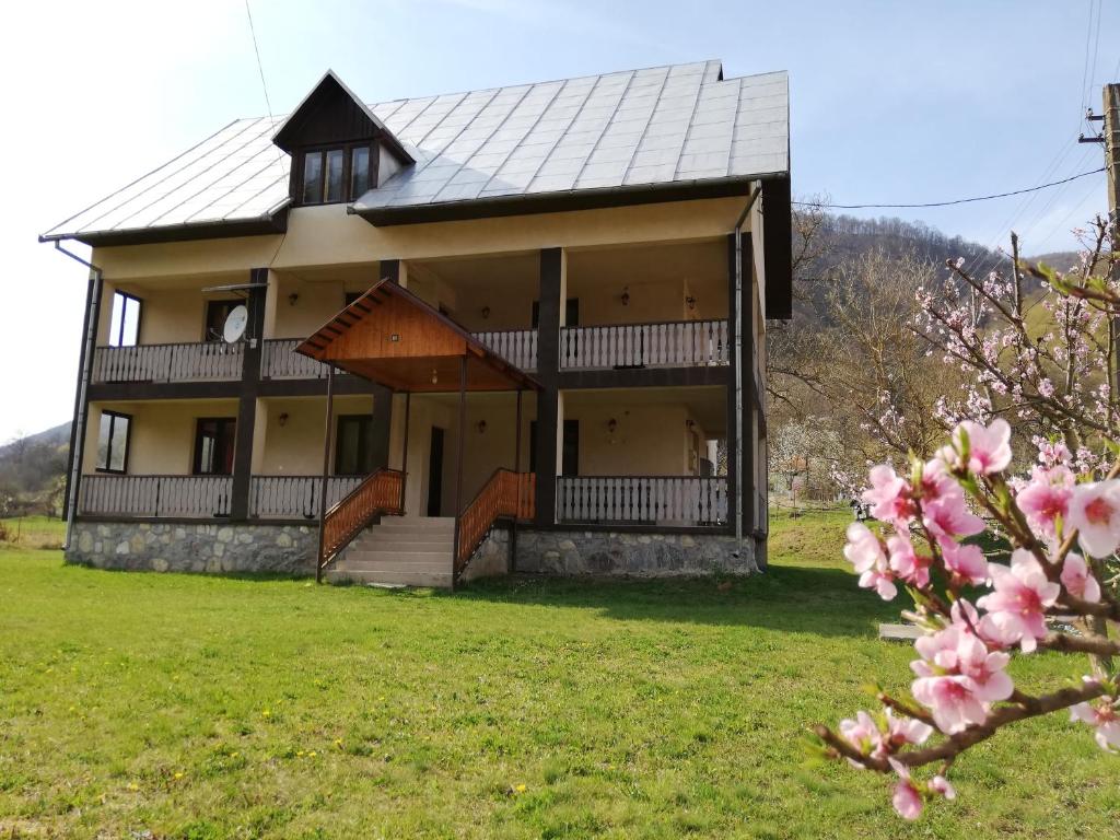 una casa grande con porche y un árbol florido en Casa Robildi, en Topliţa