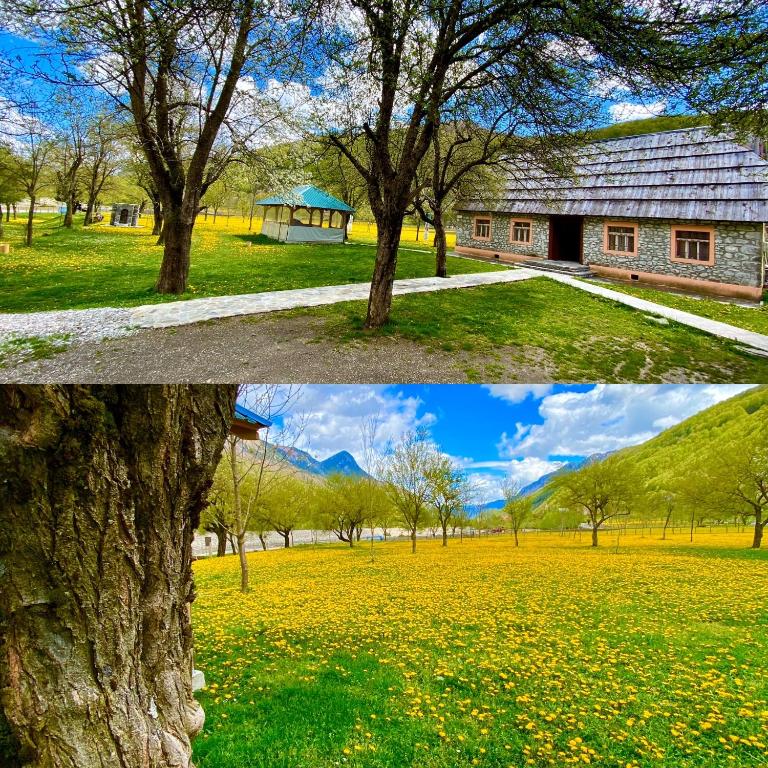 Zahrada ubytování Peraj Guesthouse