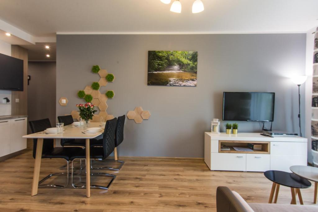 Televízia a/alebo spoločenská miestnosť v ubytovaní Apartamenty Izerskie - ul. Cicha 13H-I
