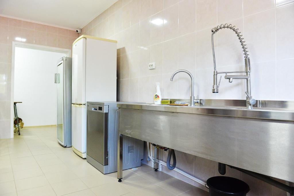 a kitchen with a stainless steel sink and a refrigerator at Casa Pedro in Blăjani