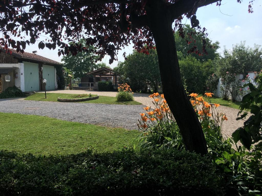Zahrada ubytování B&B CM Ranch