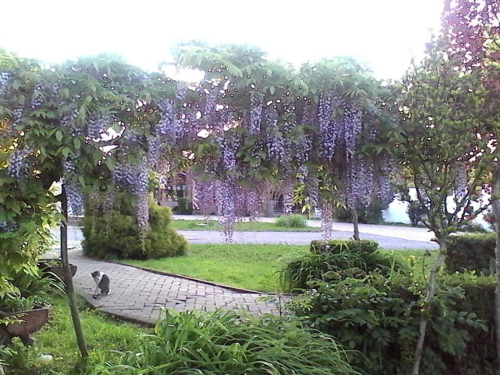 Zahrada ubytování B&B CM Ranch