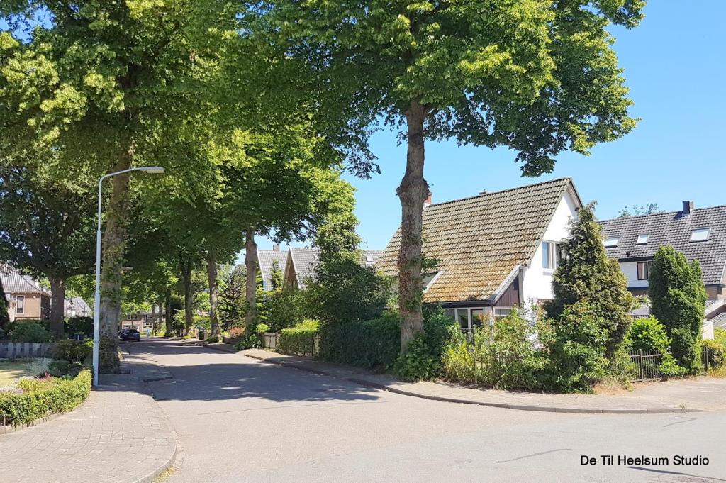 uma rua com casas e uma luz de rua e árvores em De Til Heelsum em Heelsum