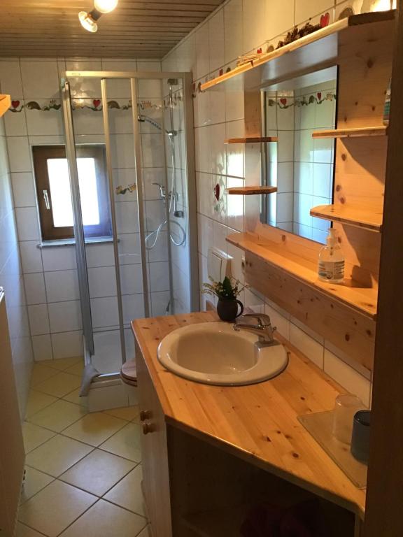 a bathroom with a sink and a shower at Ferienwohnung Schulze Jonsdorf in Kurort Jonsdorf