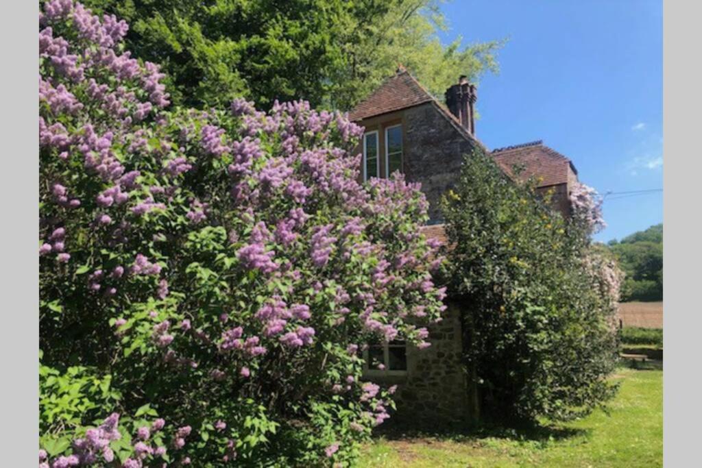 una casa vieja con flores púrpuras delante de ella en Beautiful converted Stable in peaceful Somerset, close to the Jurassic Coast en Chard