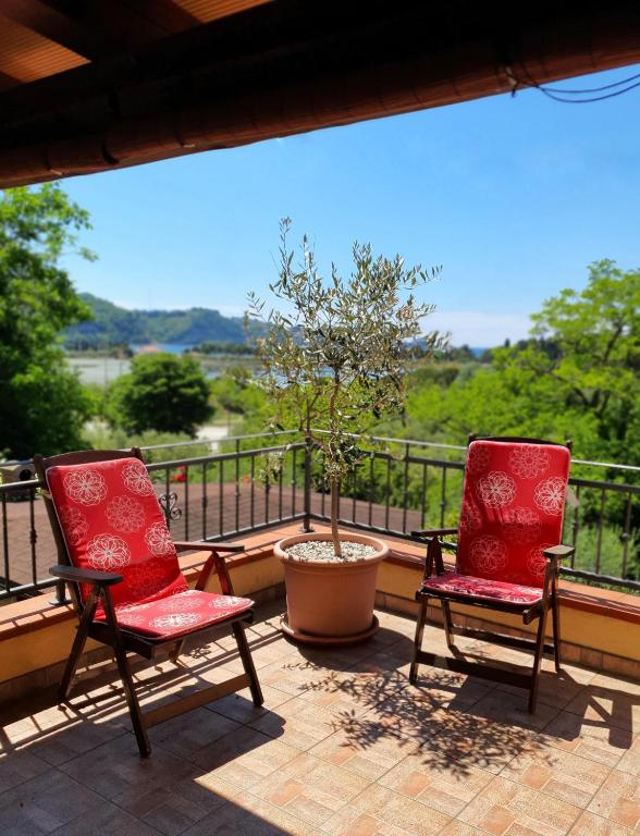 Pokrajina v okolici apartmaja