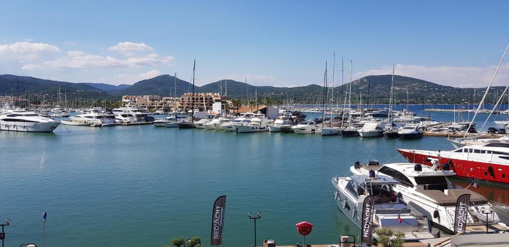 um monte de barcos ancorados num porto em la galiote em Cogolin