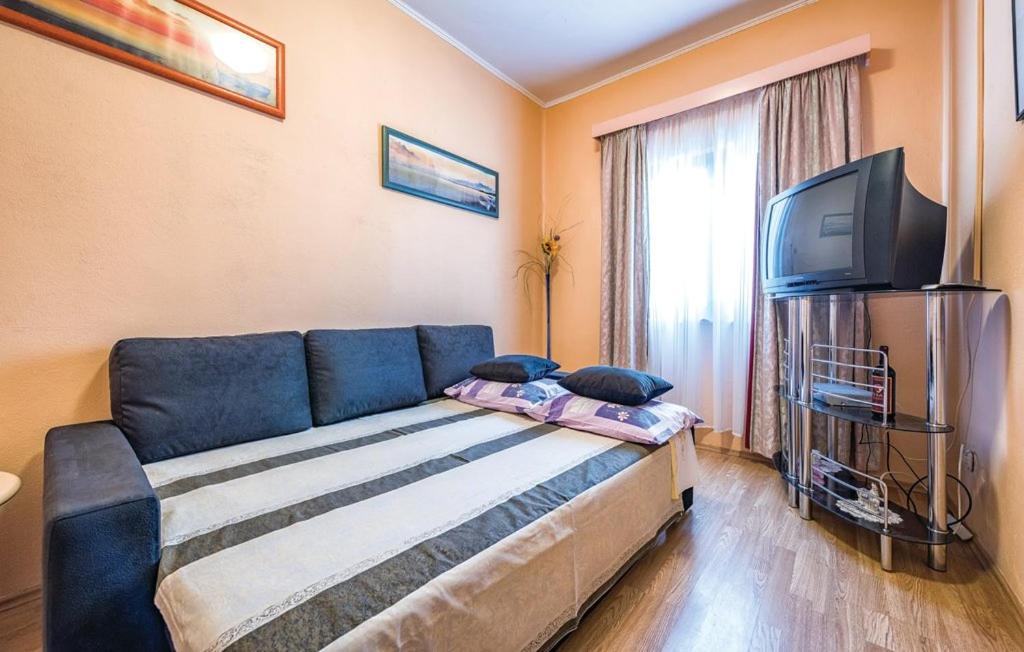 TV a/nebo společenská místnost v ubytování Apartment Tezak