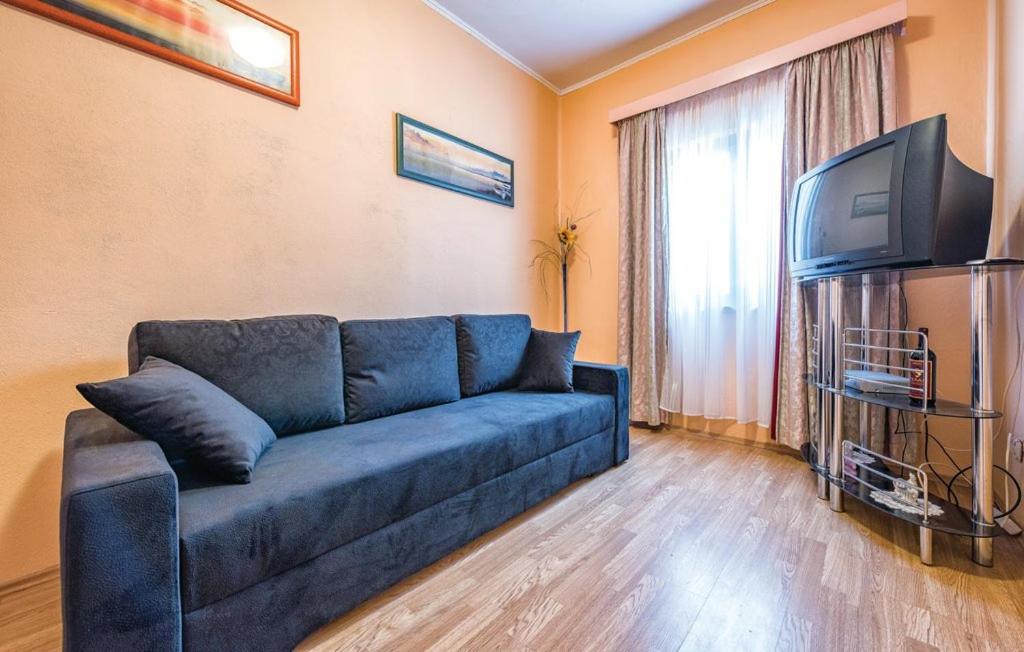 TV a/nebo společenská místnost v ubytování Apartment Tezak