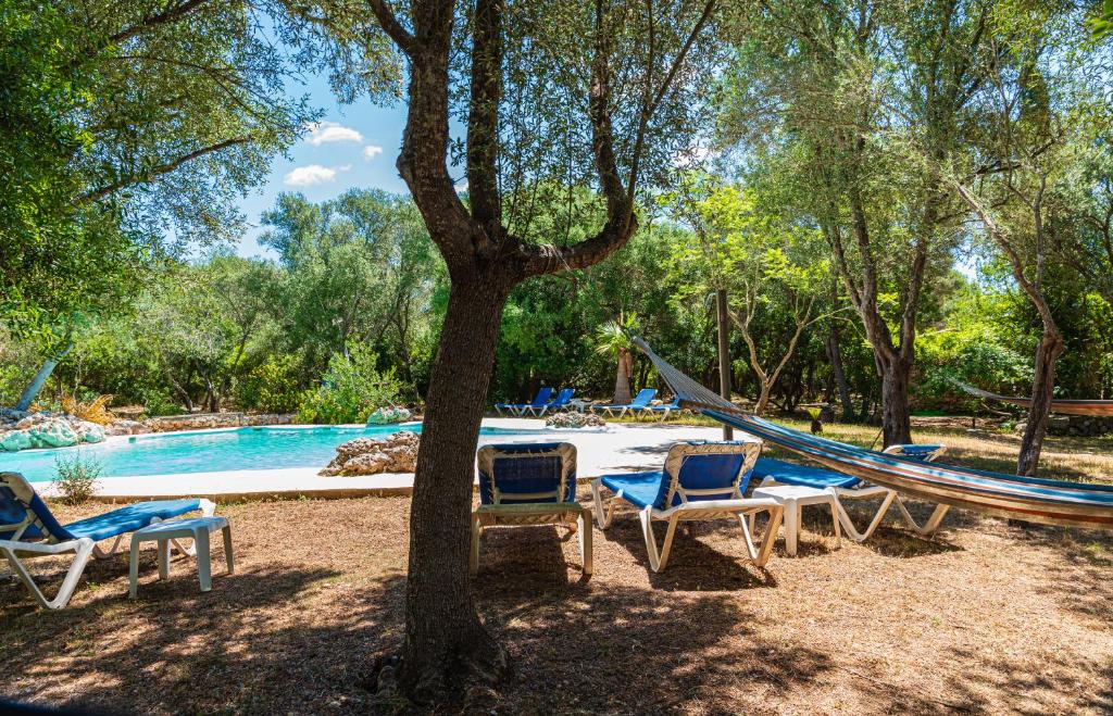 eine Hängematte und Stühle unter einem Baum neben einem Pool in der Unterkunft Sa Casa Rotja in Sineu