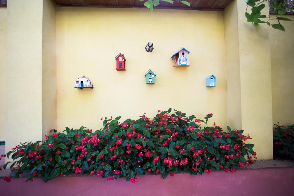 A garden outside Apartamentos El Palmeral de Madaria