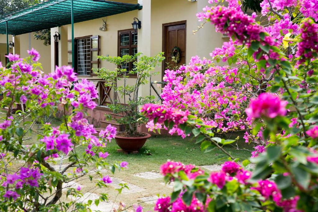 Zahrada ubytování Spring Garden Homestay