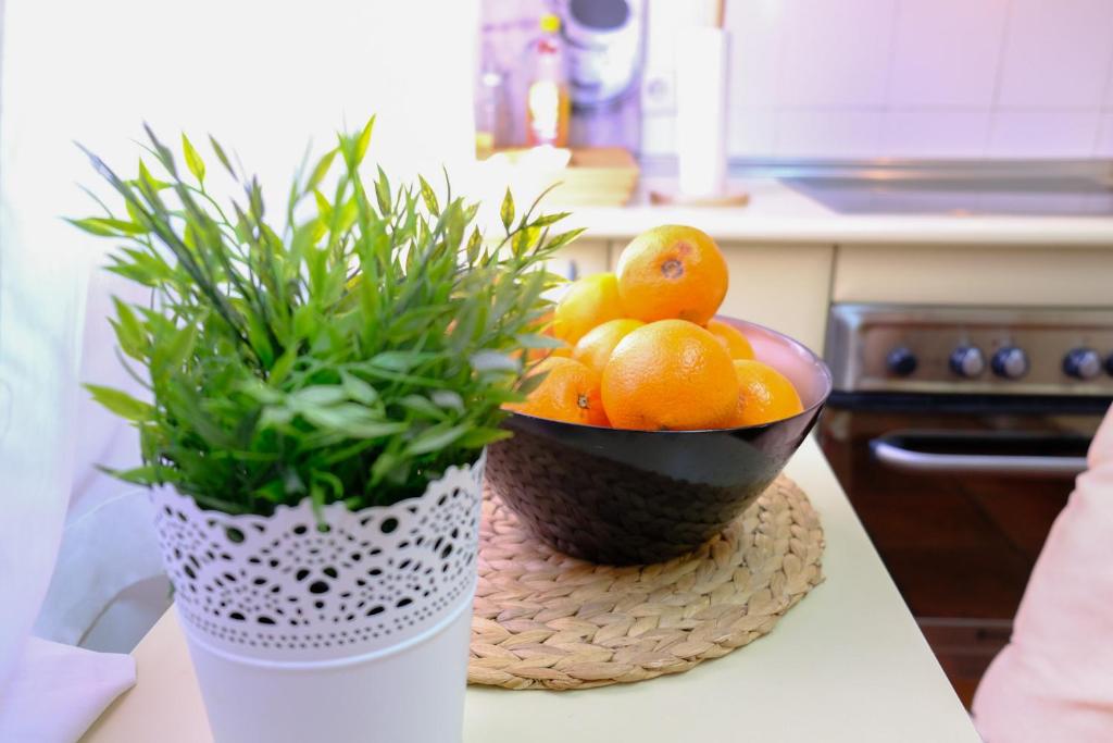 Vallespin Suite - 19