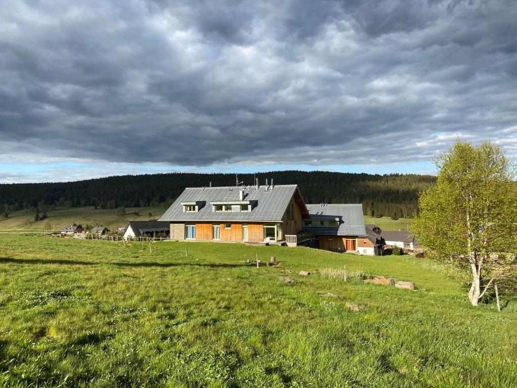 Příroda nedaleko apartmánu