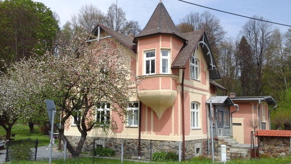 ein großes rosa Haus mit einem großen in der Unterkunft Apartmany Villa Magnolie in Lipová-lázně