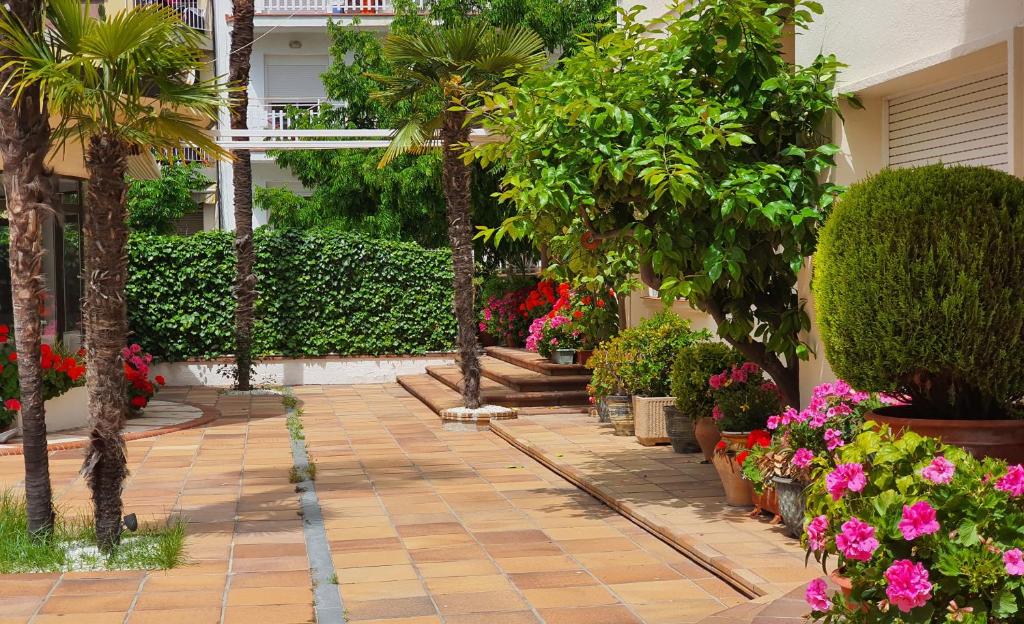 Zahrada ubytování Hotel Mireia