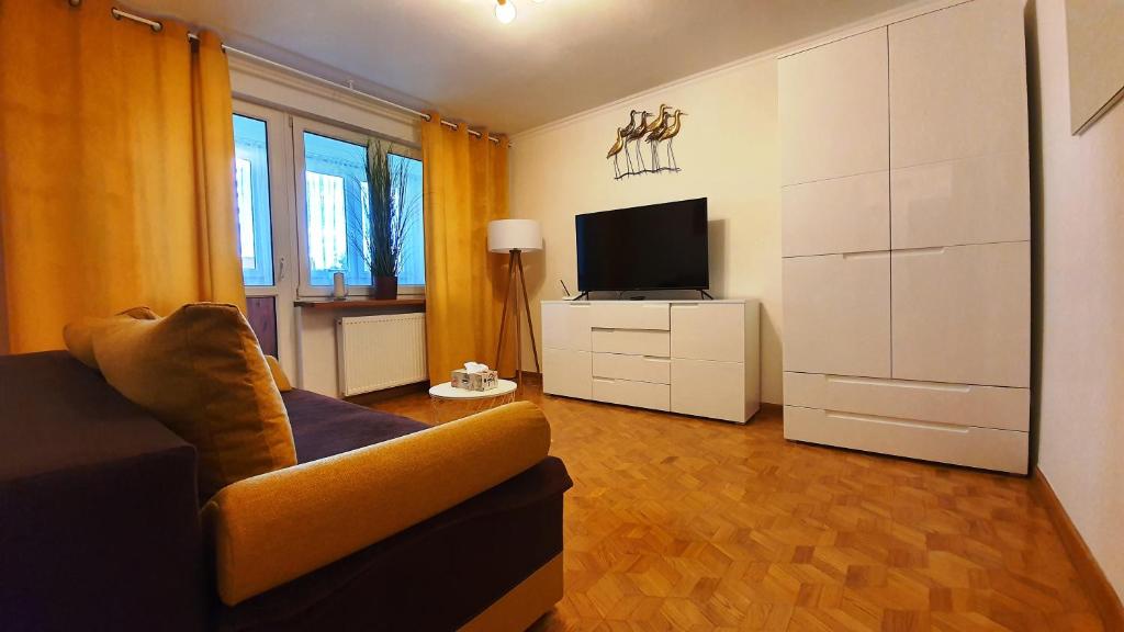 Televízia a/alebo spoločenská miestnosť v ubytovaní Apartament Motylek