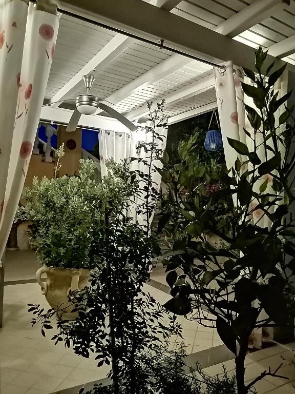 Zahrada ubytování Domos Le Due Tuie