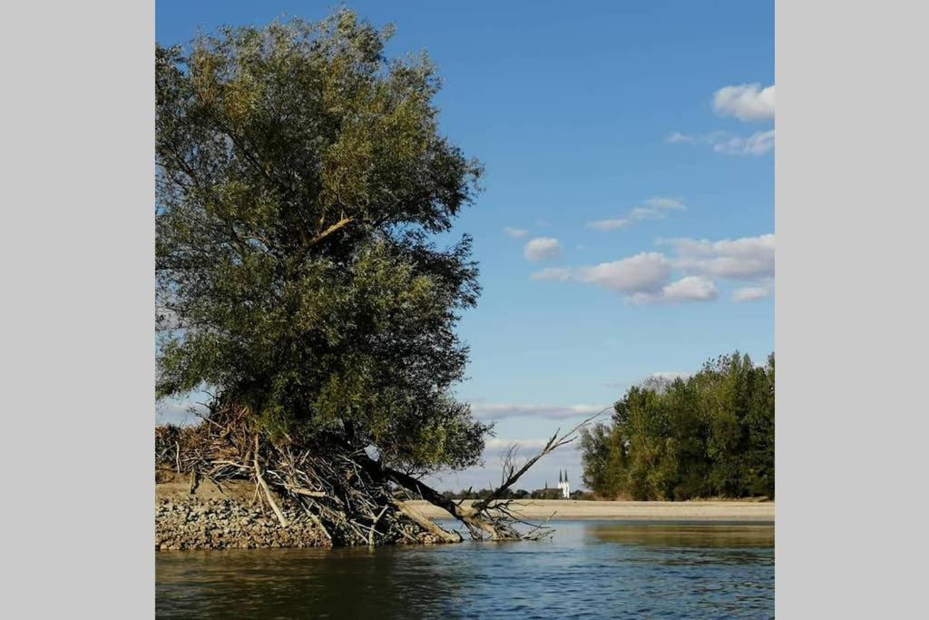 Paesaggio naturale nelle vicinanze della casa vacanze