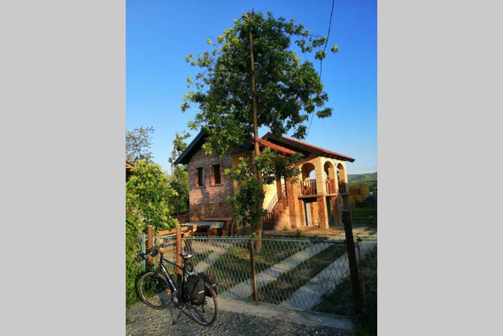 un vélo garé devant une maison dans l'établissement Danube fairy, à Futog