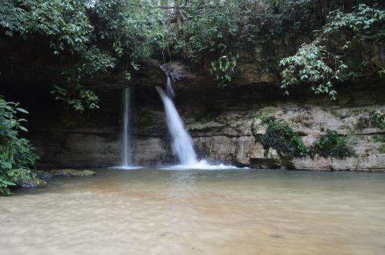  Amazon jungle ecotourism inn