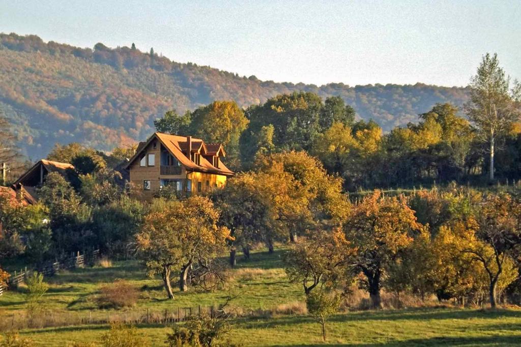 una casa en medio de un campo con árboles en Casa Zollo, en Sălişte