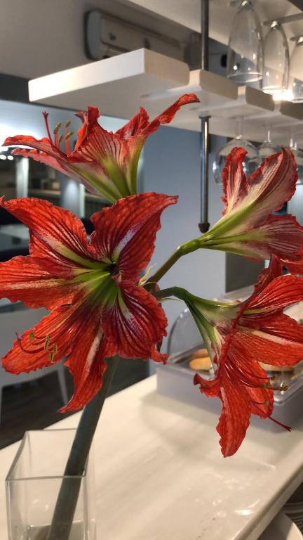 Deux fleurs rouges dans un vase sur une table dans l'établissement Colors, à Barcelone