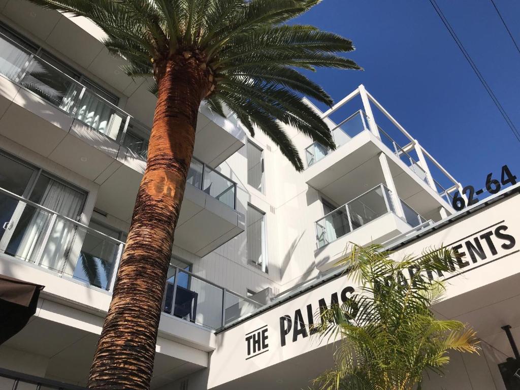 a large palm tree in front of a large building at The Palms Apartments in Adelaide