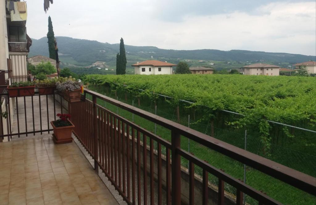 balkon z widokiem na zielone pole w obiekcie Mary House w mieście Negrar