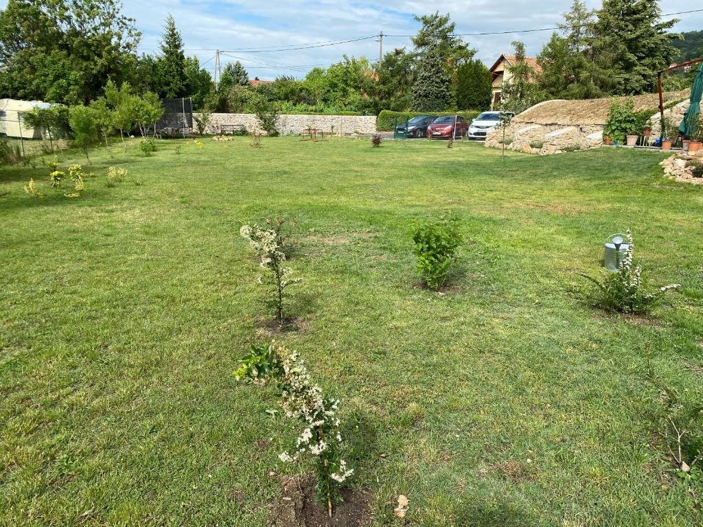 Zahrada ubytování Polyák villa